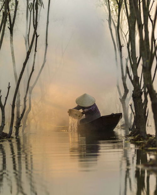 streamsofsatin:© Quoc Loc