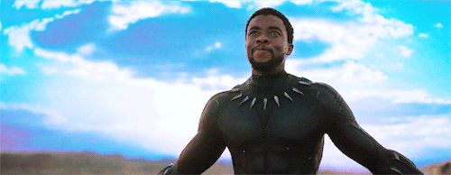 lunadiego:Black Panther (2018) dir. Ryan Coogler