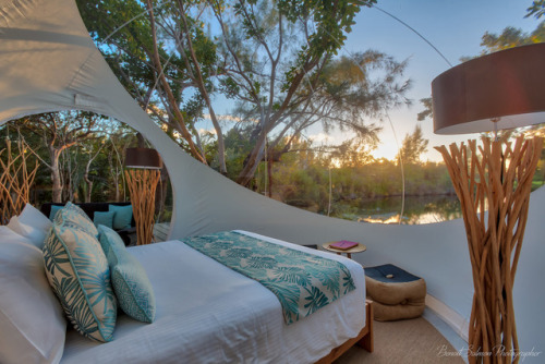 veesko:Bubble Lodge: A Chic Stargazing Retreat on Mauritius’ Largest Tree PlantationScattered amid a