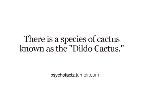 psychofactz:  More Facts on Psychofacts :)