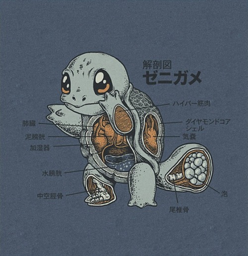 gaksdesigns:Japanese Pokemon Anatomy by Ryan Mauskopf