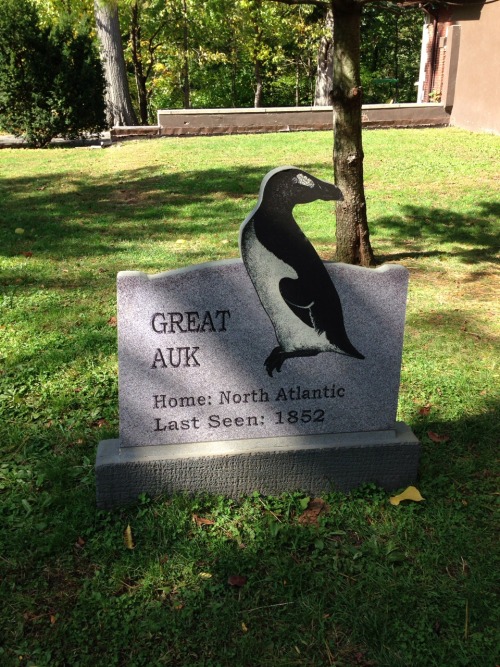lez-b-closer:sixth-extinction:This is the Extinct Species Graveyard at the Bronx Zoo in New York. The only “gravestone” not included in this post is that of the Labrador Duck.I was very pleased to find this little display at the zoo even though some