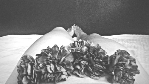 http://mysteriouslyerotic.tumblr.com/post/98103601266