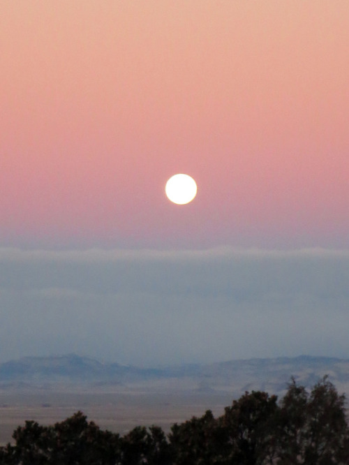 Ann - November 22, 2018 at San Luis Valley, CO, USA Photography