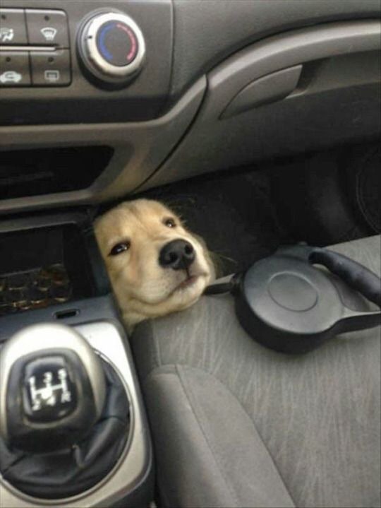 menpale:  Baby drive