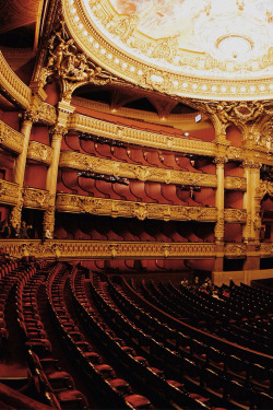 italian-luxury:  Palais Garnier