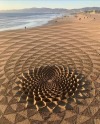 gattadeicarpazi:bi-q21:artevisiva:Una rosa sulla sabbia La “Sand Art” dell’ artista californiano Andres Amador@gattadeicarpazi Geometrie -sulla sabbia l’amore,disegno angoli,non possono nuocertison rose senza spine! 🐾