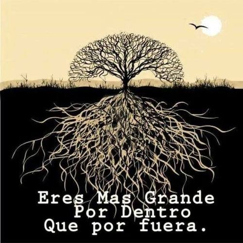 No sé hacia dónde va mi vida