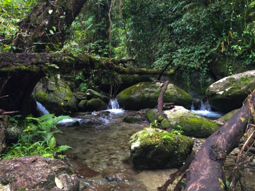 oceaniatropics:   Goldfields Trail, Babinda, Queensland, Australia