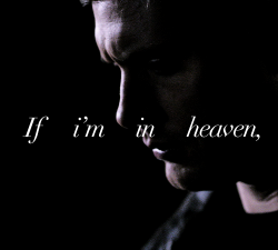 Lucifersaam:  Sam Winchester Meme: ✿ Favorite Quotes About Sam [&Amp;Frac12;]–