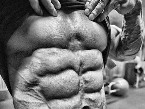 Muscle Appreciation