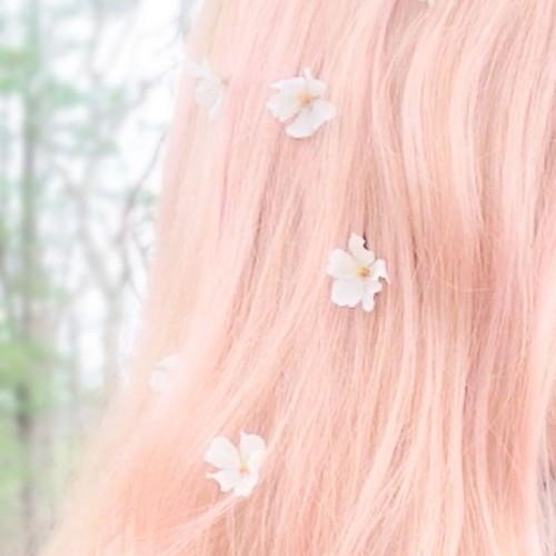 annielette - ꒰ა annielette ྀི … ໒꒱