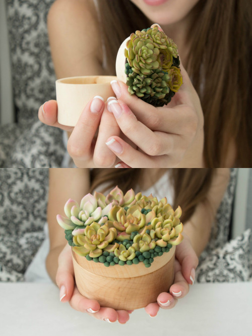 sosuperawesome:sosuperawesome:Succulent Hair Accessories, Jewelry, Jewelry Boxes and Decor from the 