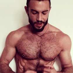 adonisarchive: