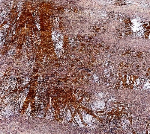 Reflection