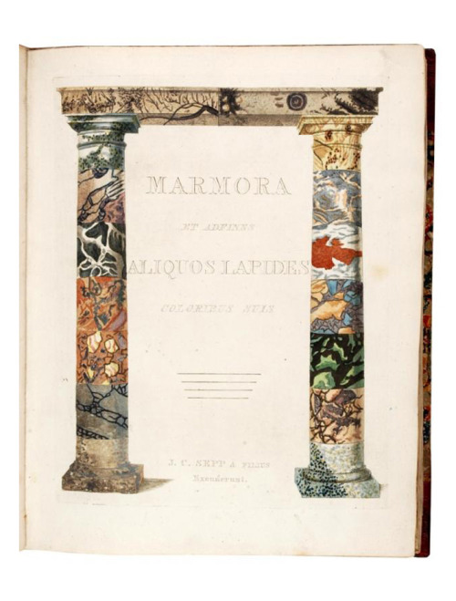design-is-fine:  A representation of different sorts of marble by Johann Christian Sepp, 1776. Amste