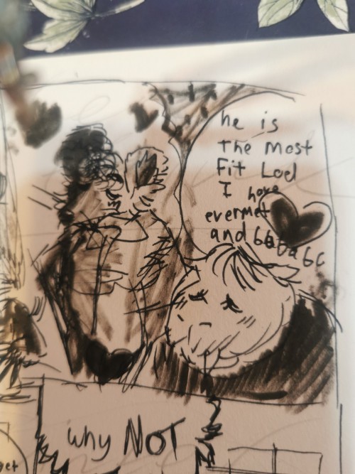 Have Art Of A Fionncrat (a Bunny Cat Like Creature) In There School Based In Baistcorr (a Small Town