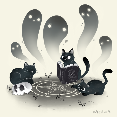 nyxshadowhawk: Nekomancer by Wizaria