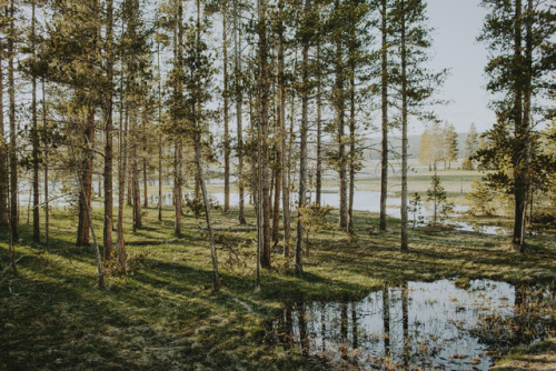 julianajohnsonphoto: Sunset Yellowstone National Park, Wyoming, Part XLI May 2017