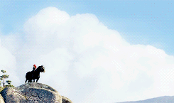 wolfegngs-blog:  I am Merida, and I’ll be shooting for my own hand. 