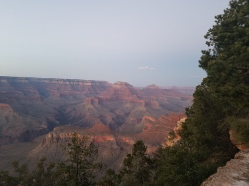 Knitting my way back to the east coast! First Stop - Grand Canyon