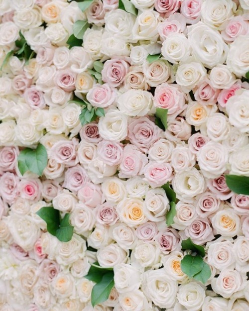  ♕Feminine Charm♕ | Photobooth wall by Corbin Gurkin on Instagram