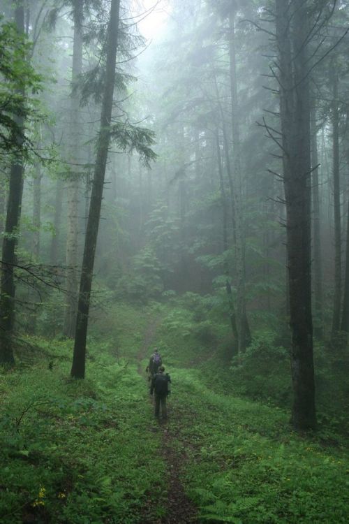 transylvania, romania