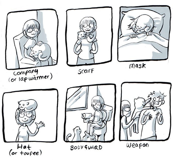lurkdusoleil:  glitterdammerung:  jeniphyer:  pr1nceshawn:  What it’s like to have