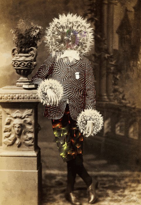 curiousmiscellanies: curious miscellaniessource unknow