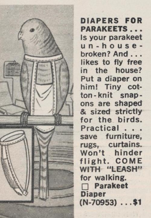 coelasquid:  thepieshops:  Diapers For Parakeets…Part 1 in a series of things available in the Christmas 1964 Spencer Gifts catalog.  And still are available in 2014 from fine companies like Flightquarters and The Bird Boutique.     