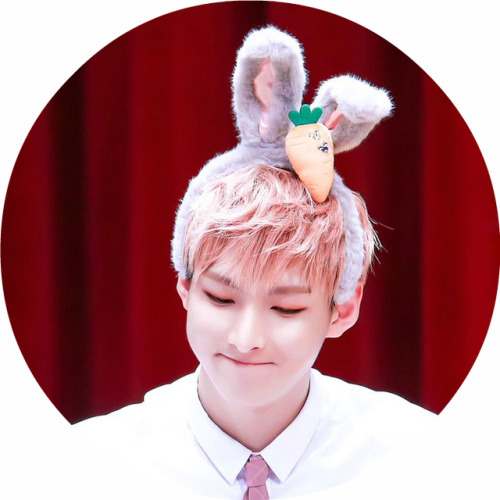 zuho icons ; like if you find them useful i might make more