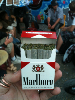 The only pack I&rsquo;d carry!