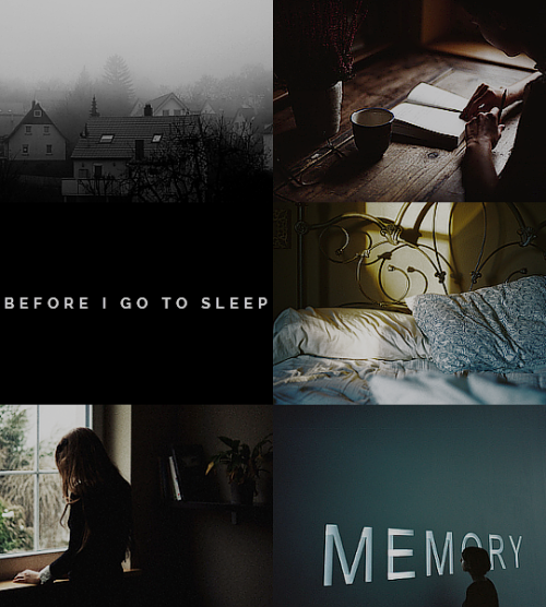 darklingaleks: books in 2017  22⁄? ➵ before i go to sleep  |  bibliothon  