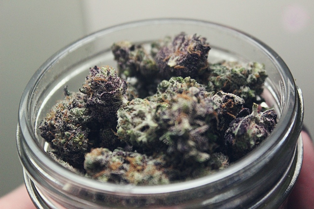 thepinkcrystal:  i like the  photo set version of these pics  