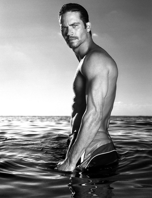 tomorrowscynic:  RIP Paul Walker 