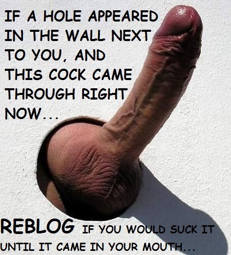 slutlybaby: pervertedbimaleslut:  YES….YES I WOULD!!!! LOVE glory holes… A smorgasbord of cock and c