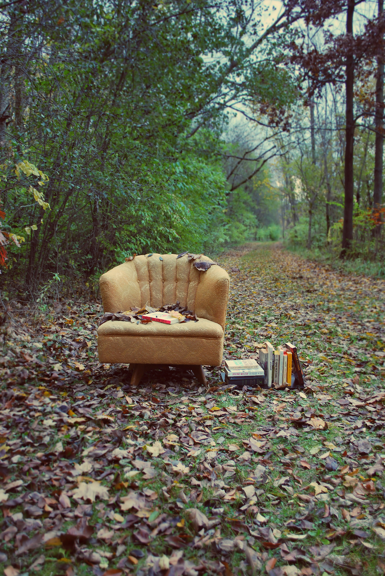  A place to sit. by jamigreenfield 