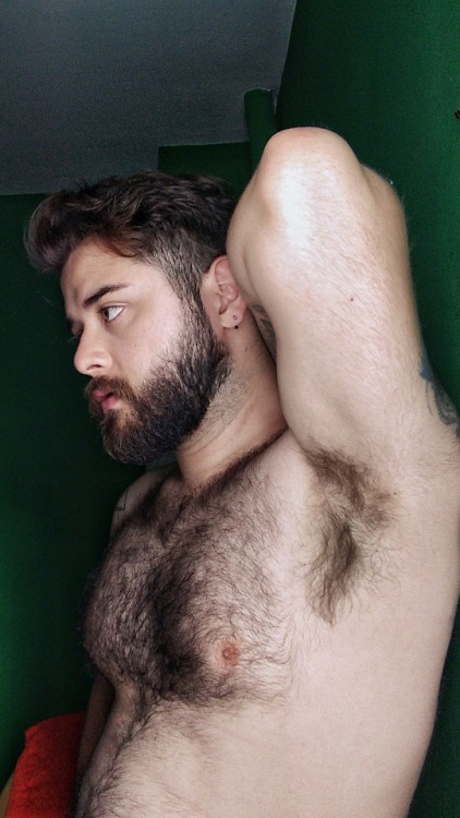 milkshakebeard:Shirtless afternoon twitter.com/hairyfatso