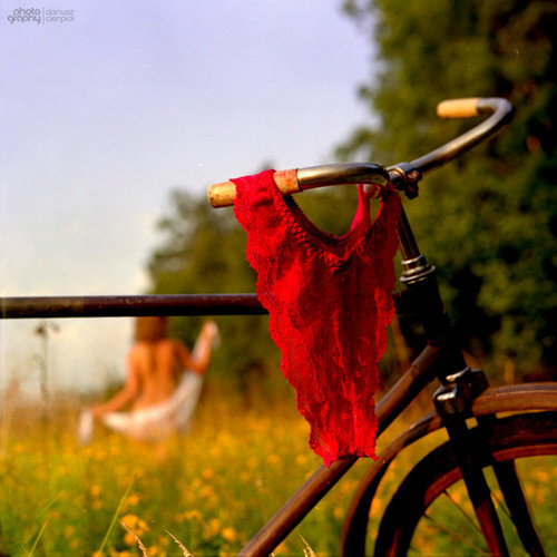 Beautiful Disaster