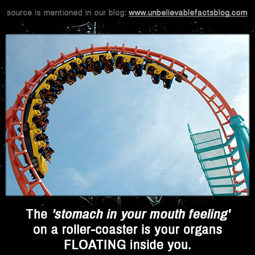 unbelievable-facts:The ‘stomach in your mouth feeling’ on a roller-coaster is your organs FLOATING i