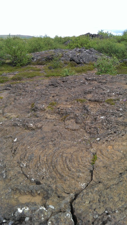 ifollowmyfeets: Mesmerized by the patterns in the lava formations. Hraunfossar, Iceland.  July 