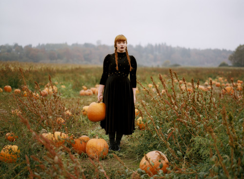 sierramckenzie: <3 halloween pumpkin patch masterpost. me by dylan staley