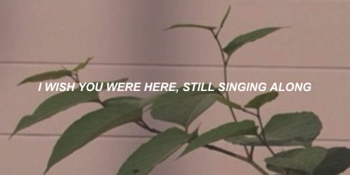 stupid song // hot chelle rae