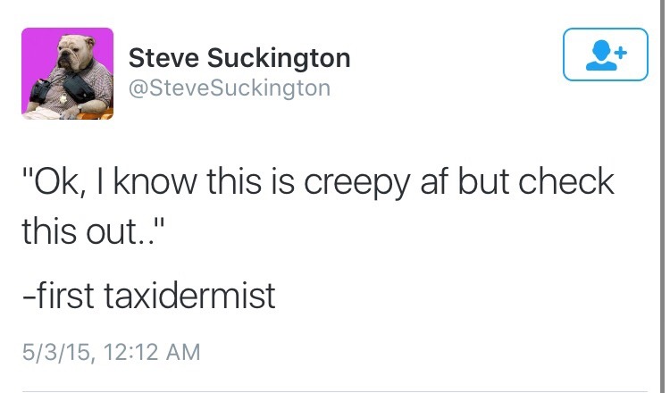vulture-kitty:I’ve been laughing at this tweet for days now, help