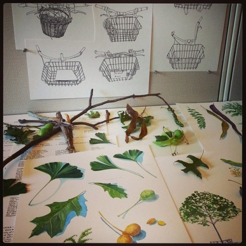 Finding inspiration in Visual Narrative #SVA #drawing #bike #flora