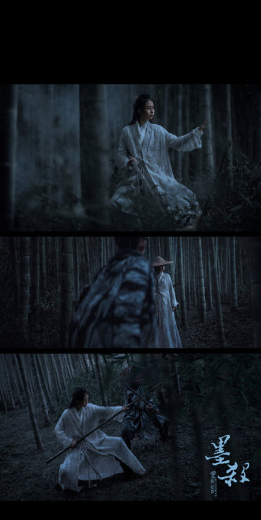 Shadow (film) inspired hanfu photoshootphotographer: 爱良安 models：@ 绝梨华  @宣淑娅 hanfu from: 拉贝碧