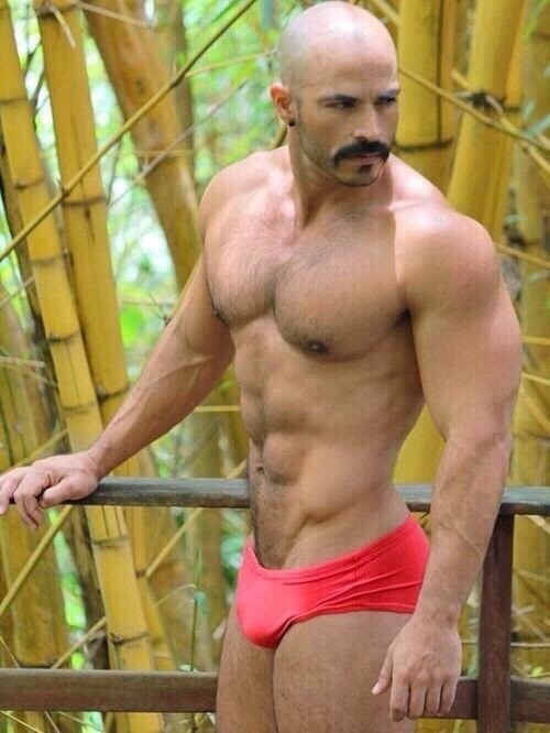 MUSCLE MAN DADDY