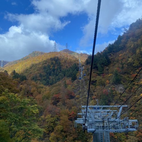 本間日陽さんのツイート: 湯沢のドラゴンドラに乗って秋を堪能 駐車場で運良く綺麗な虹とも遭遇✨ たくさんパワーチャージできた1日でした！ #紅葉 #湯沢　#新潟観光 t.co/BEj6