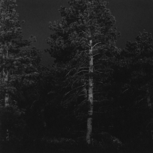 inpraiseofphotos:Summer Nights - Robert Adams