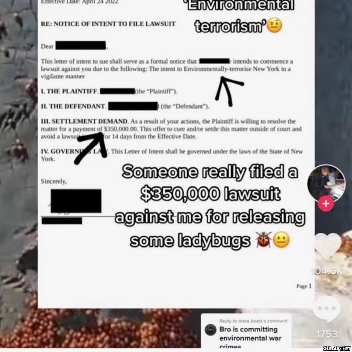 the tiktok ladybug fiasco...